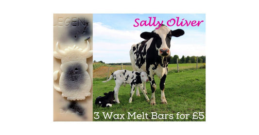 3 x Highly Scented Wax Melt Snap Bar 45g| Cow Design | Home Fragrance | Vegan Friendly | Made in Uk | Soy Melts | Lavender Chamomile Vanilla