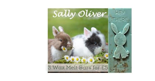 3 x Highly Scented Wax Melt Snap Bar (45g)| Rabbit Design | Home Fragrance | Vegan Friendly | Handmade in Uk | Soy Melts | Sage and Sea Salt