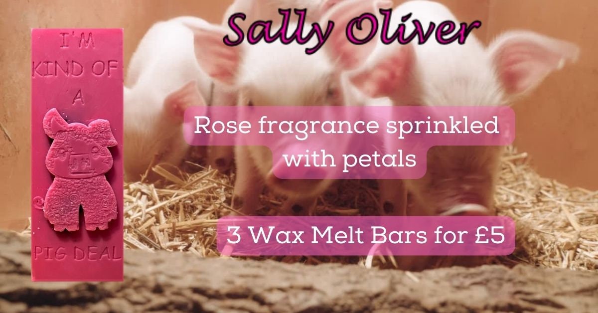3 x Highly Scented Wax Melt Snap Bar 45g | Pig Design | Vegan Friendly | Made in Uk | Soy Wax | Rose Fragrance with Petals | Home Fragrance